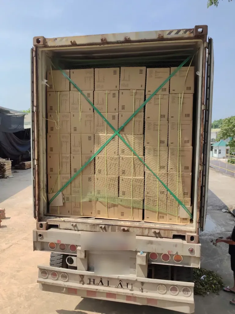 Container filled with cartons secured by cross-lashing straps