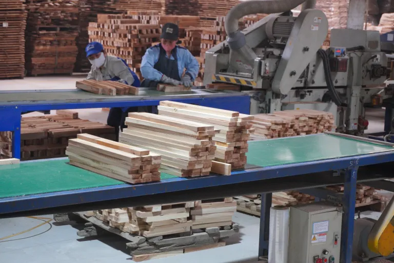 Operators preparing wooden blanks at a cutting station