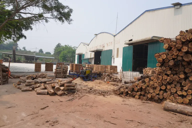 Acacia logs piled in front of the production halls