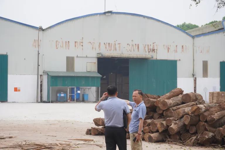 Two managers talking in the log yard