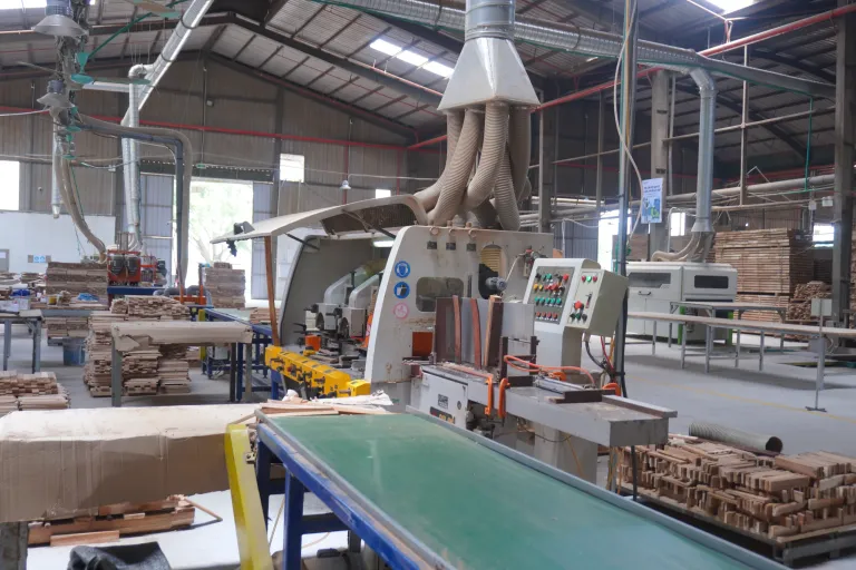 Moulder with infeed conveyor and stacked blanks