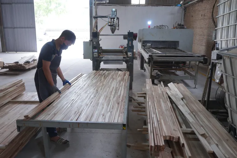 Operator laying up jointed strips into a panel