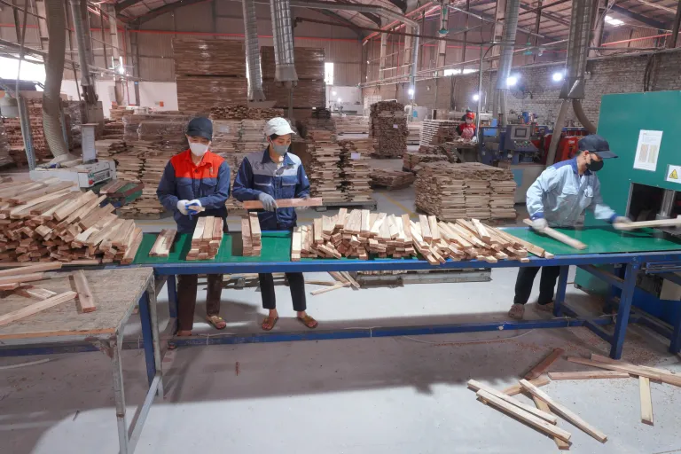 Workers sorting wood strips at a conveyor table