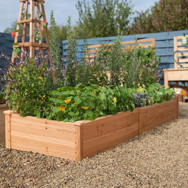Acacia raised planter box for vegetables, herbs and flowers